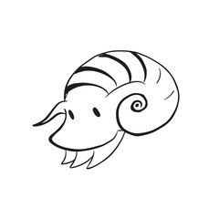 Seashell Spiral Macro