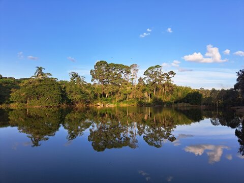 O reflexo das &aacute;rvores sobre as &aacute;guas de um lago na cidade de Cotia,  Estado de S&atilde;o Paulo, Brasil.