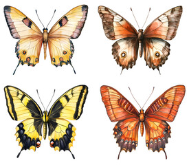 Naklejka premium Set butterflies watercolor clipart isolated