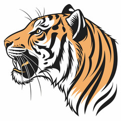 tiger head isolated