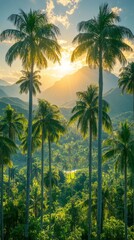 Fototapeta premium Mountain palms under sunset glow.