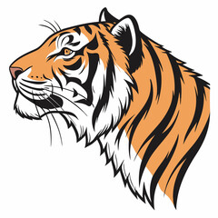 tiger head vector