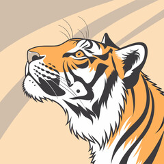 tiger head vector illustration