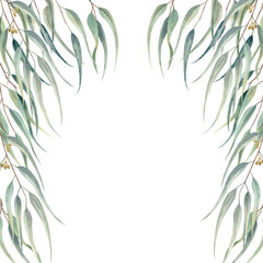 Watercolor frame with eucalyptus branches with green long leaves. © Sabiiat