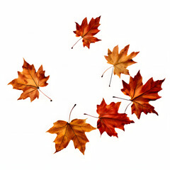 Autumn leaves falling isolated on transparent or white background