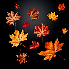 Obraz premium autumn leaves background