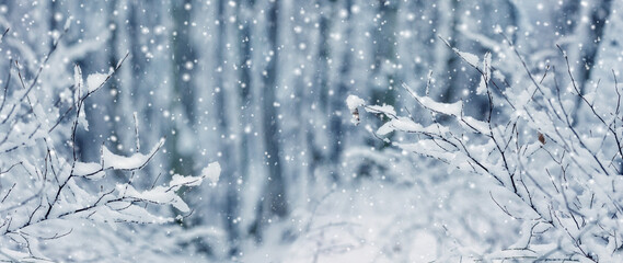 a magical corner of the forest with snow-covered bushes and trees during snowfall