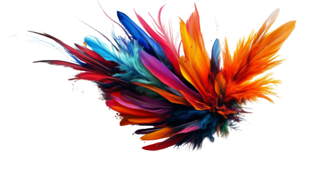 colorful feather on a transparent background