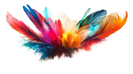 colorful feather on a transparent background