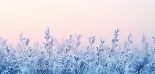 Gradient from icy blue to pale lavender, evoking a frosty and calming look, perfect for winter visuals.