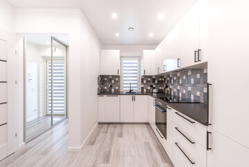 Scandinavian Style Cozy Modern Open Bright Kitchen Home Interior. Faucet, Fridge, Oven, Closet and Furniture in Background. LED Light, Black and White Style. Hallway and Mirror in Background