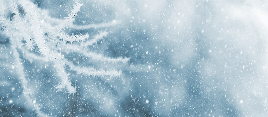 winter background with frost covered tree branches on blurred background during snowfall, copy space
