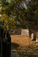 autumn landscape in the park