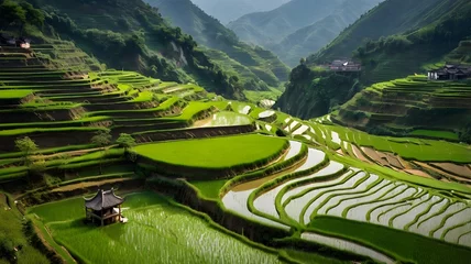 Fototapete Rund Lush green terraced rice fields nestled in mountainous landscape under soft morning sunlight. Generative AI © boscorelli