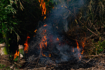 view of the fire burning the land