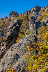 Golden autumn in the forest and mountains along the Donau river in Austria. Wachau region, Vogelberg mountain in the autumn season with yellow and orange leaves on the trees. Yellow leaf on october