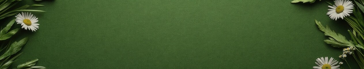 Aerial view of a lush grassy field with daisies and greenery nearby