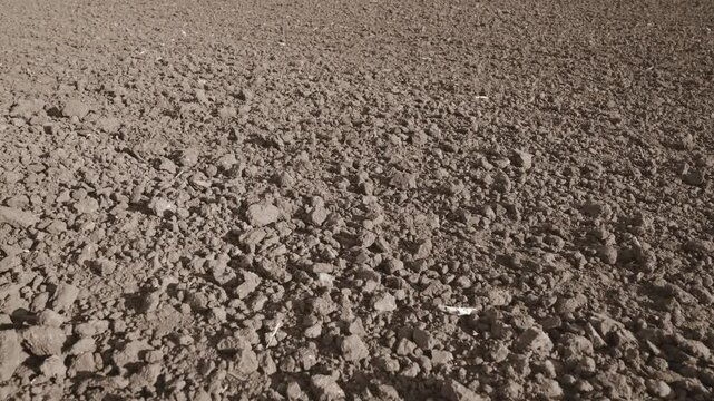 agriculture concept. soil soil on the farm. A dug up garden. preparing the field for planting seedlings and seeds. farming. soil plowed in the field