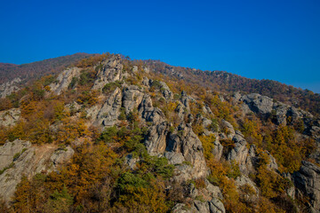 Fototapeta premium Golden autumn in the forest and mountains along the Donau river in Austria. Wachau region, Vogelberg mountain in the autumn season with yellow and orange leaves on the trees. Yellow leaf on october