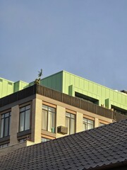 Modern residential building with green rooftop and large windows under blue sky – urban architecture in evening light