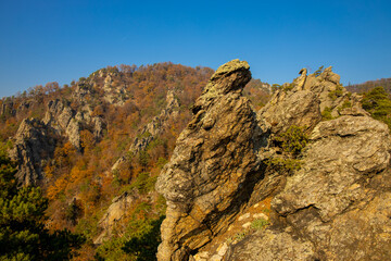 Golden autumn in the forest and mountains along the Donau river in Austria. Wachau region, Vogelberg mountain in the autumn season with yellow and orange leaves on the trees. Yellow leaf on october