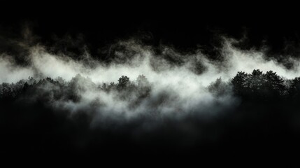 Misty Forest Silhouettes at Night