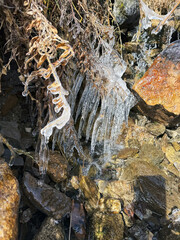 A natural spring along the hiking trail to Mount Giewont in the Tatra Mountains, Poland, offering a refreshing water source for hikers