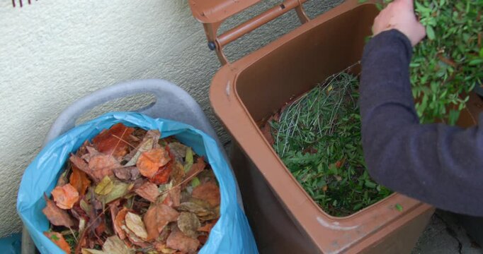 A person sorts garden debris, separating leaves and plants into bins for composting and recycling, promoting eco-friendly waste management practices.