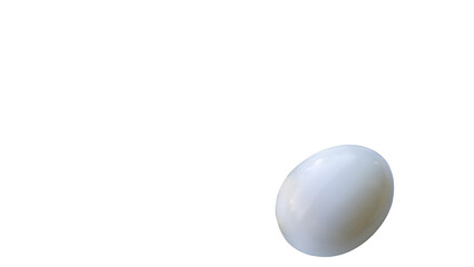 White egg isolated on png transparent background.