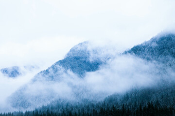 misty mountain