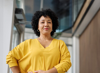 business meeting businesswoman woman office portrait entrepreneur smart confident happy colleague...