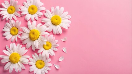 daisies and petals on bright yellow background top view copy space
