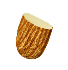 almond nut food healthy organic natural ingredient snack isolated seed brown fruit closeup nutrition group