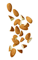 almond nut food healthy organic natural ingredient snack isolated seed brown fruit closeup nutrition group
