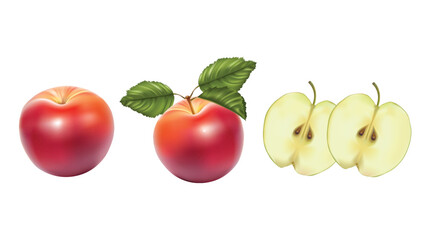 Fresh Red Apples: Vector Design
