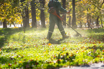 A worker using a string trimmer to maintain a lush green park during autumn sunlight in a vibrant outdoor setting © zphoto83