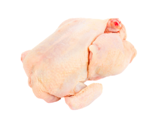 Raw hen on a white background