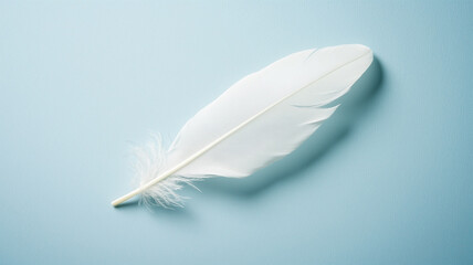空色の背景に浮かぶ白い羽