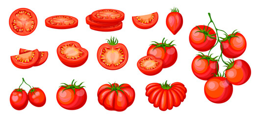 Set of red tomatoes in cartoon style. Vector illustration of fresh, tasty tomatoes, whole, halves, slices, branch, cherry tomatoes, with seeds, stems, isolated on white background. Useful vegetables.