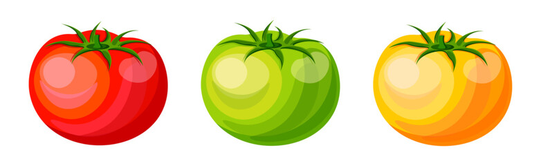 Set of red, green, yellow tomatoes in cartoon style. Vector illustration of tasty tomatoes with green stems isolated on white background. Useful vegetables. Harvest.Salad ingredient.Healthy lifestyle.