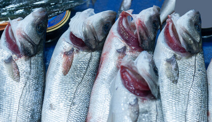 Close up of fresh European seabass at a Local fish market stall filled with a variety of freshly...