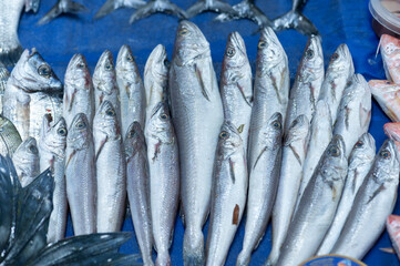 Whiting fish also known as mezgit at a local fish market stall filled with a variety of freshly caught fish and seafood in Istanbul