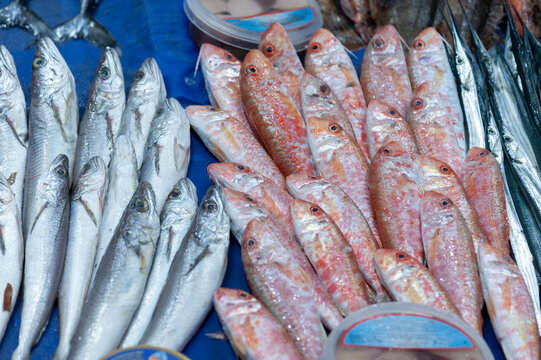 Whiting and red mullet fish also known as mezgit and barbun at a local fish market stall filled with a variety of freshly caught fish and seafood in Istanbul