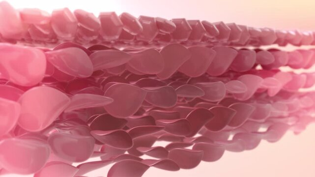 The UV rays from the sun can be damaging to the skin. ultraviolet (UV) rays from the sun be harmful to the skin. 3D Animation