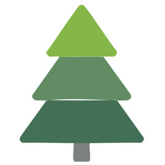 Fototapeta premium green christmas tree