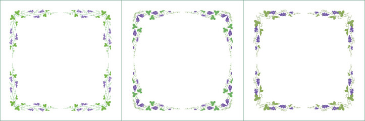 Set of green three vegetal vector frames with purple grape vine.  Vector frame for all sizes and formats. Isolated vector illustration.	
