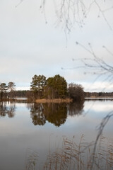 A quiet lake with tree reflections on a cloudy day, framed by bare branches and reeds. This image reflects the serene beauty of nature, making it perfect for themes of solitude, & natural landscapes