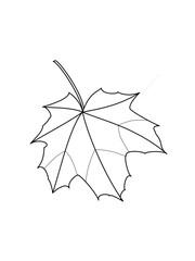 simplified black and white drawing of a maple leaf, abstract modern vector illustration