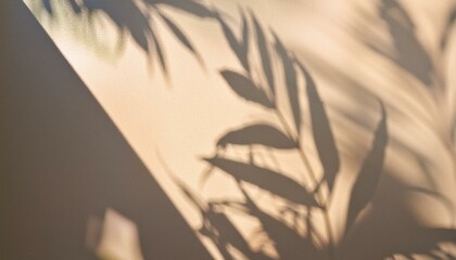 leaf shadow and light on wall beige background nature tropical gray leaves plant and tree branch shade with sunlight on wall texture for background wallpaper and design shadow overlay effect