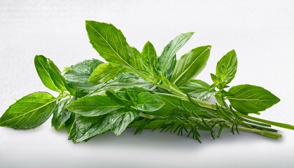 Obraz premium fresh green herb sprig isolated on transparent background generative ai